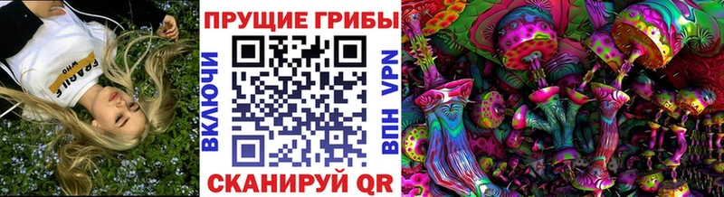 МЕГА как войти  Гагарин  Галлюциногенные грибы Psilocybe 